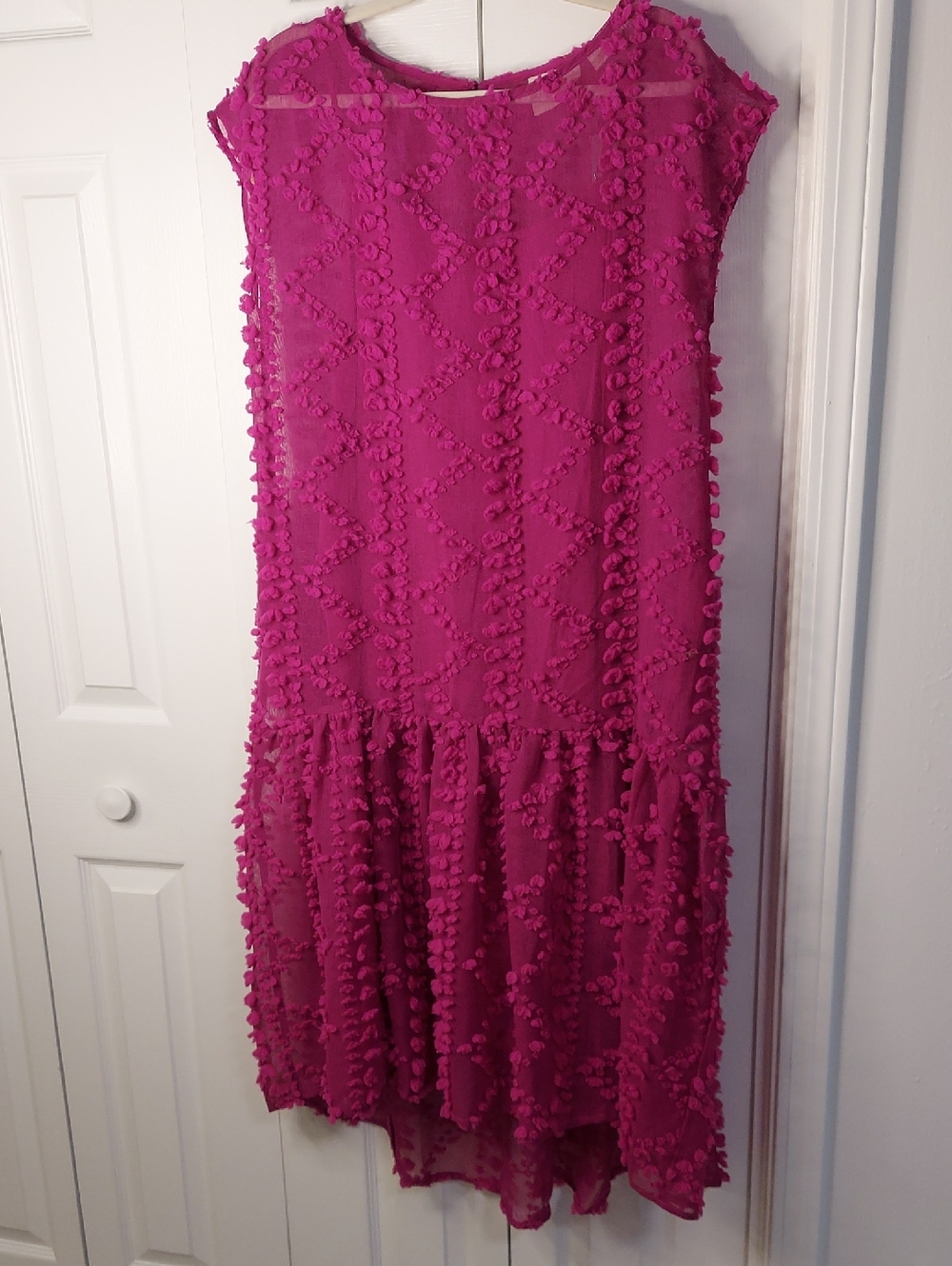 Maeve Blythe Dress, NEW!Size MP, Rose Magenta, PomPom Textured, Sheer - Picture 4 of 11